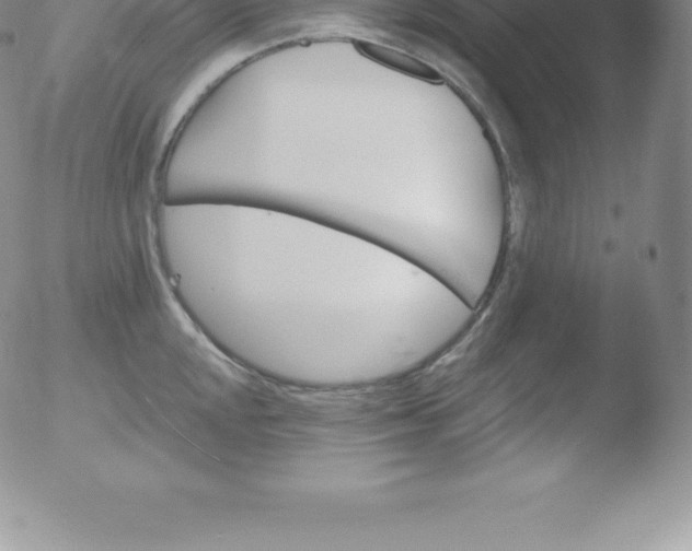 X0000051891048200507081934