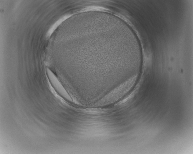 X0000051891049200507081934