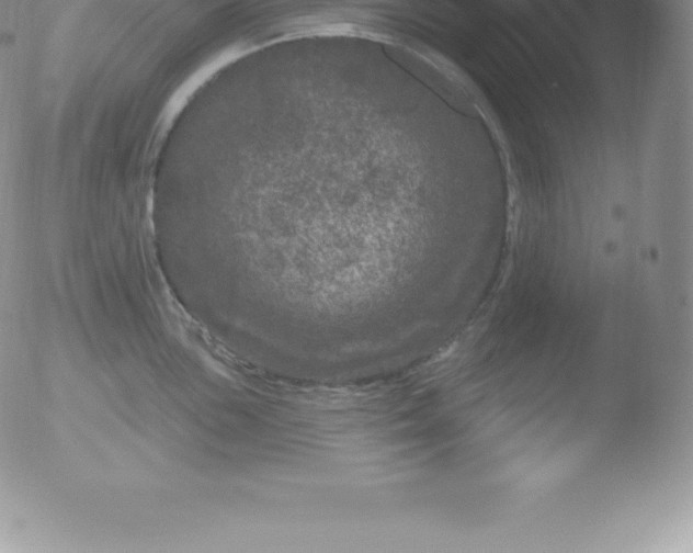 X0000051891051200507081934