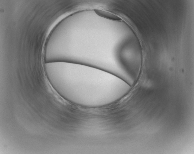 X0000051891052200507081934