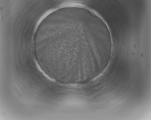 X0000051891053200507081934