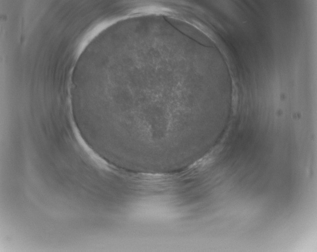 X0000051891055200507081934