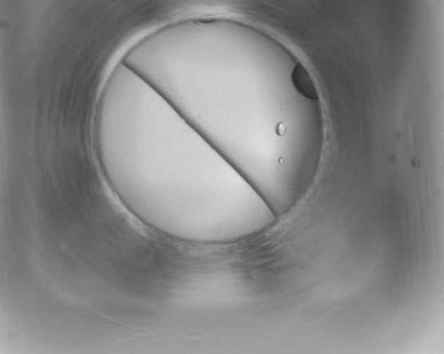 X0000051891056200507081934