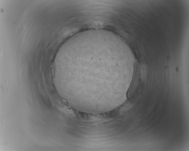 X0000051891057200507081933