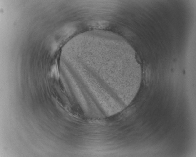 X0000051891058200507081933