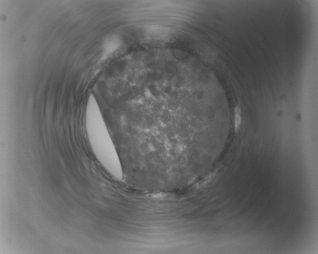 X0000051891059200507081933