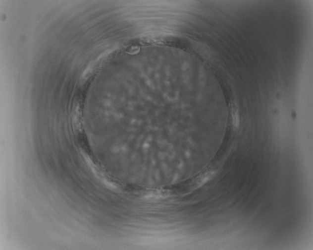 X0000051891060200507081933