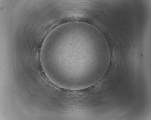 X0000051891061200507081933