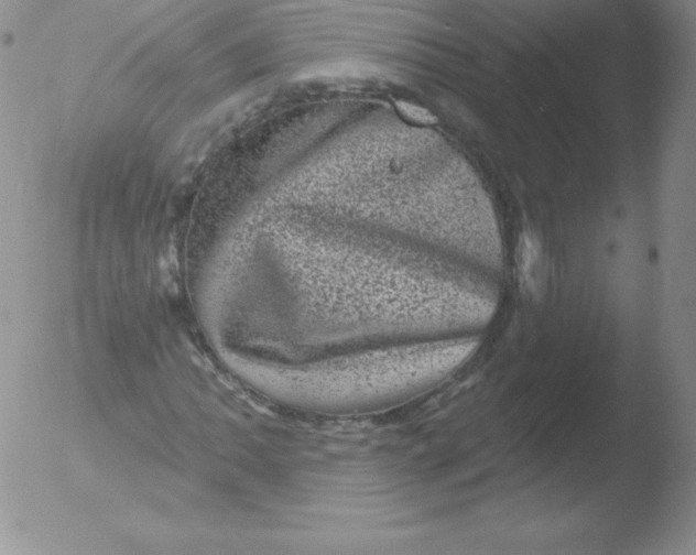 X0000051891062200507081933