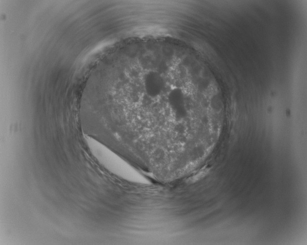 X0000051891063200507081933