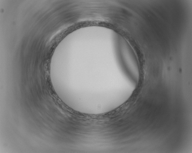 X0000051891064200507081933