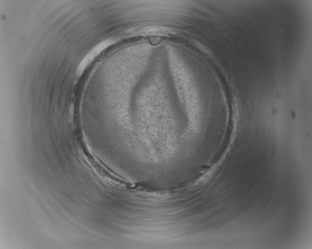 X0000051891066200507081933