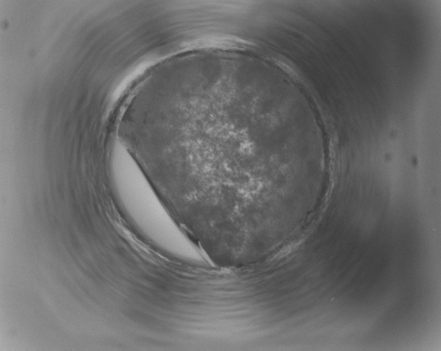 X0000051891067200507081933