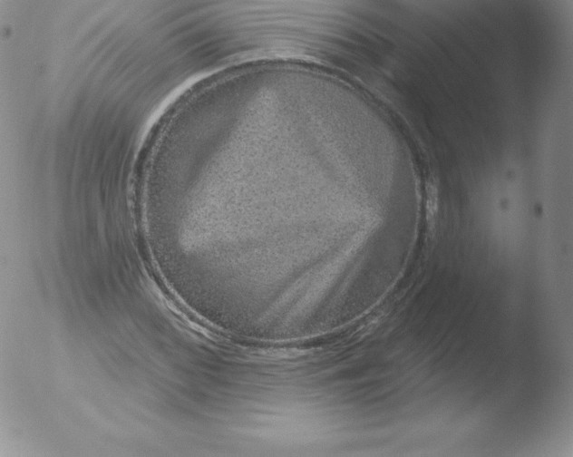 X0000051891068200507081933