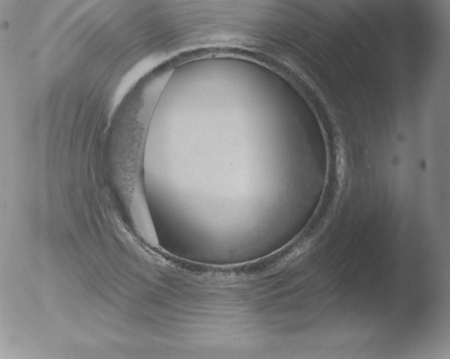 X0000051891069200507081933