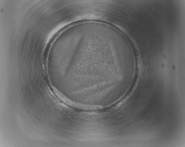 X0000051891070200507081933