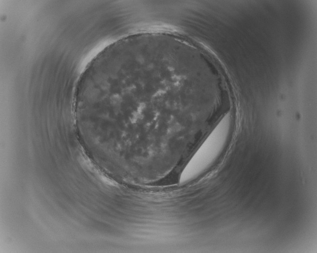 X0000051891071200507081933