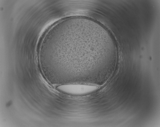 X0000051891072200507081933