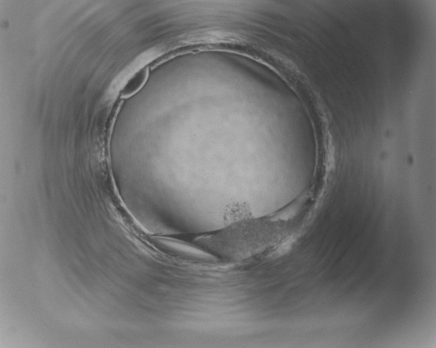 X0000051891073200507081933