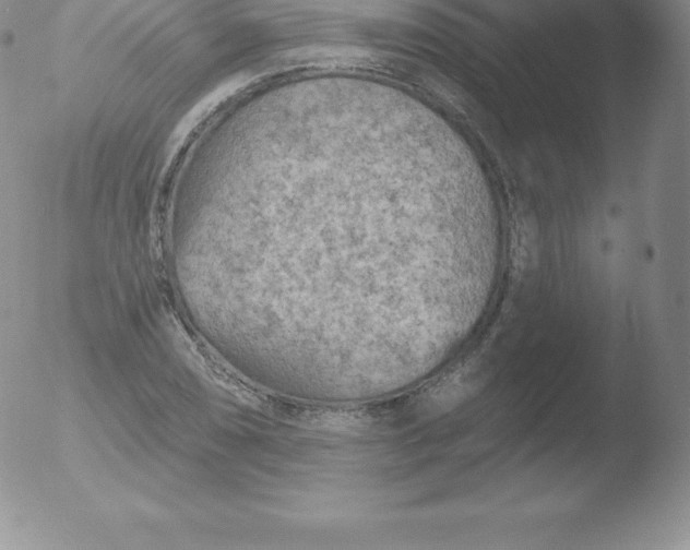 X0000051891074200507081933