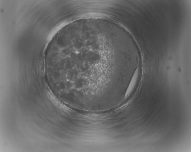 X0000051891075200507081933