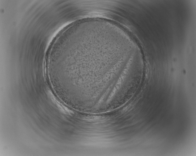 X0000051891076200507081933