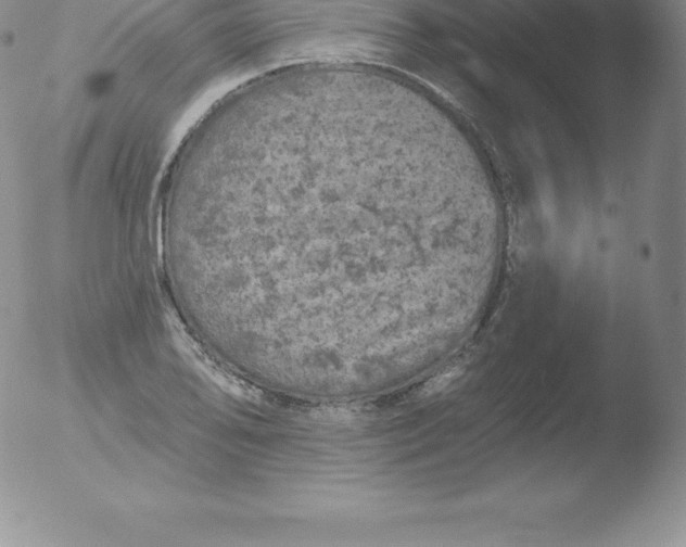 X0000051891078200507081933