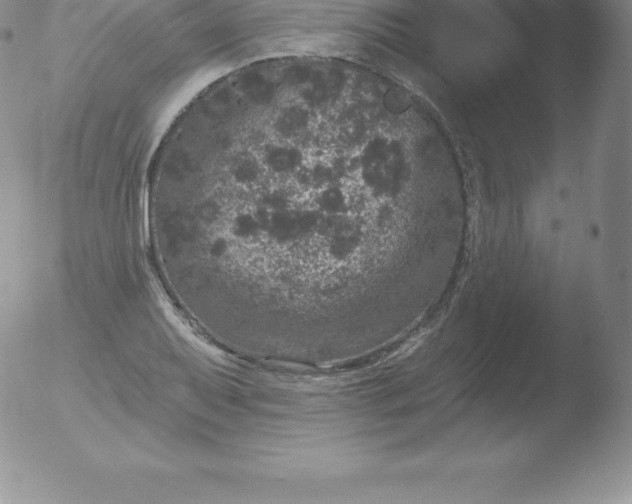 X0000051891079200507081933