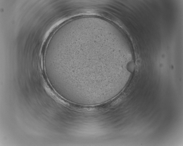 X0000051891080200507081933