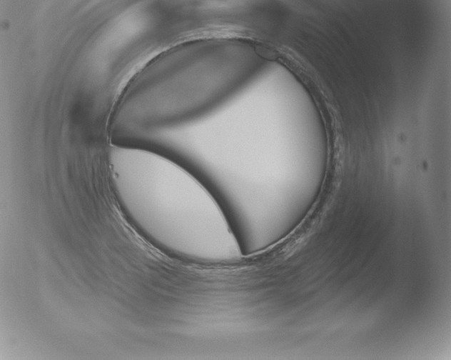 X0000051891081200507081933