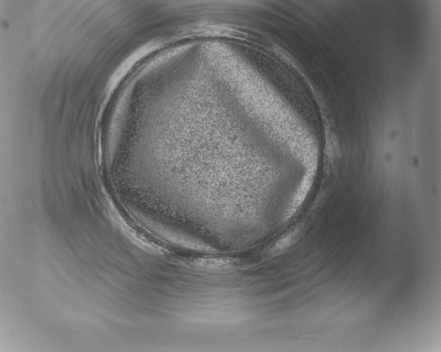 X0000051891082200507081933