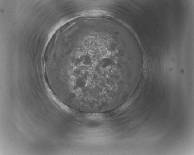 X0000051891083200507081933