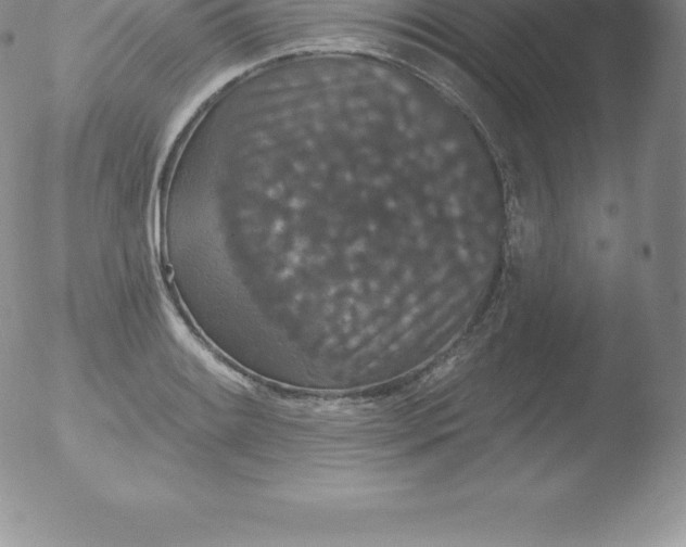 X0000051891084200507081933