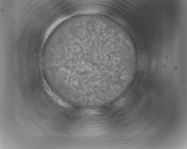 X0000051891086200507081932