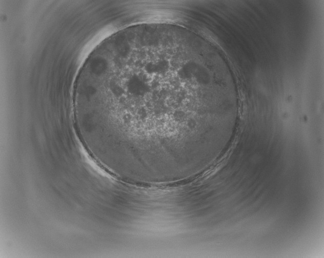 X0000051891087200507081932