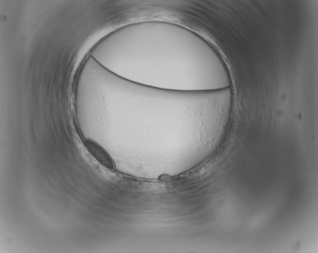 X0000051891088200507081932