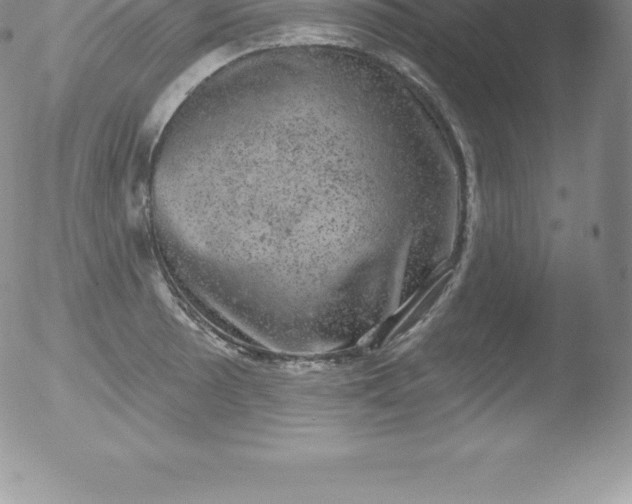 X0000051891089200507081932