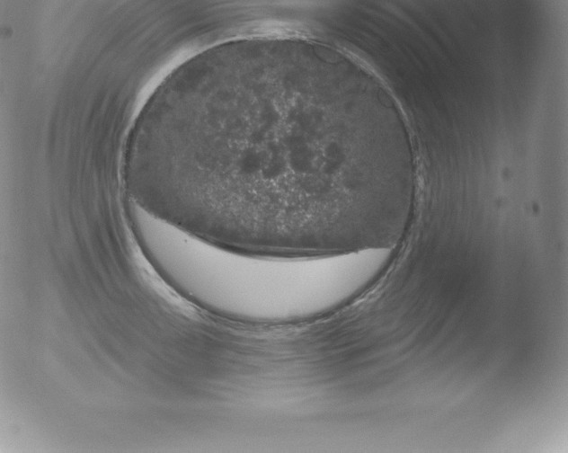 X0000051891091200507081932