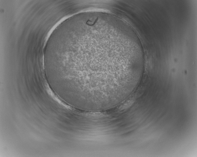 X0000051891092200507081932