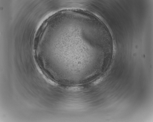 X0000051891093200507081932