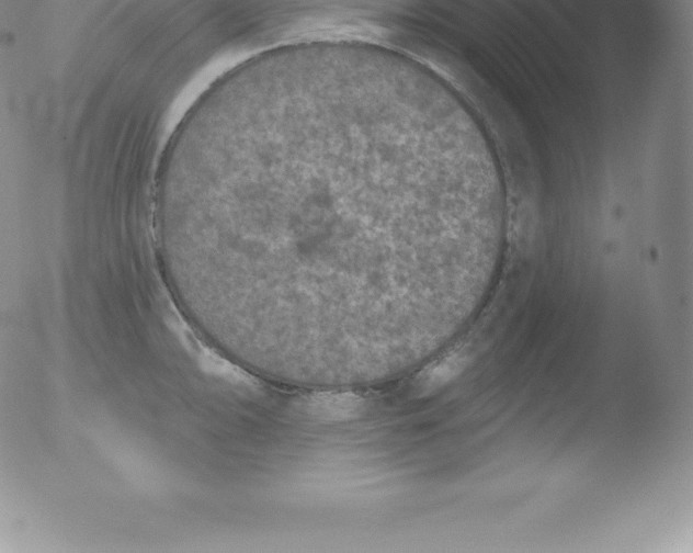 X0000051891094200507081932