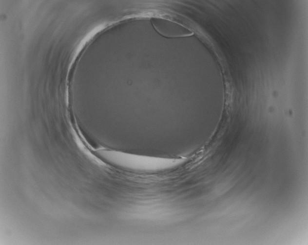 X0000051891095200507081932