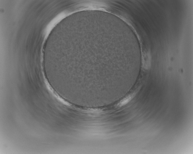 X0000051891096200507081932