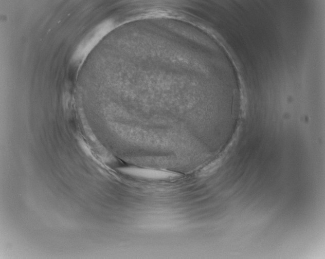 X0000051891097200507081932