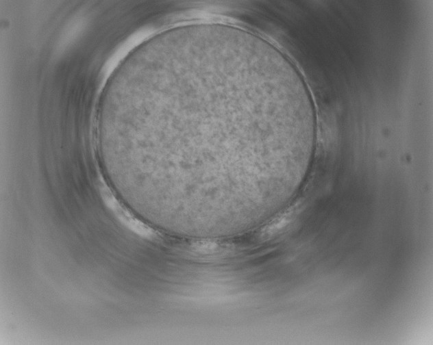 X0000051891098200507081932