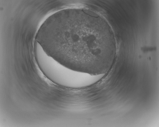 X0000051891099200507081932