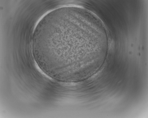 X0000051891100200507081932