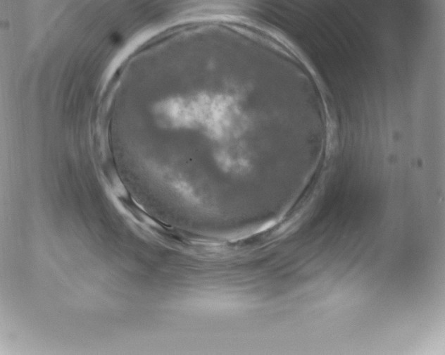 X0000051891101200507081932