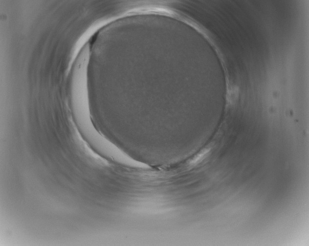 X0000051891102200507081932