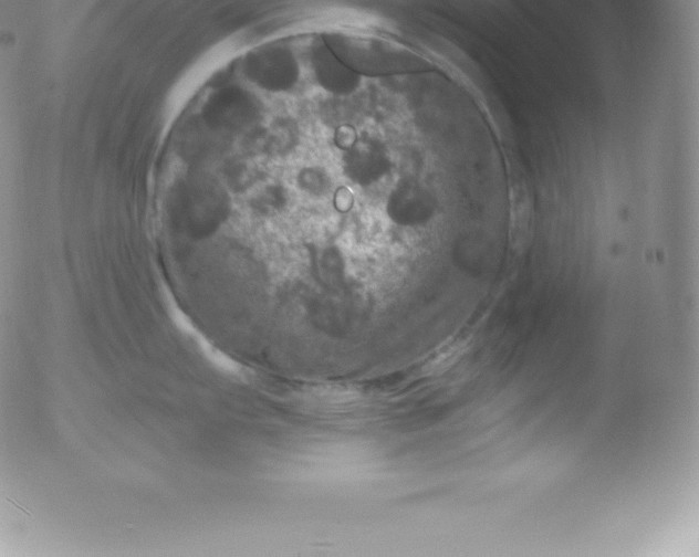 X0000051891103200507081932